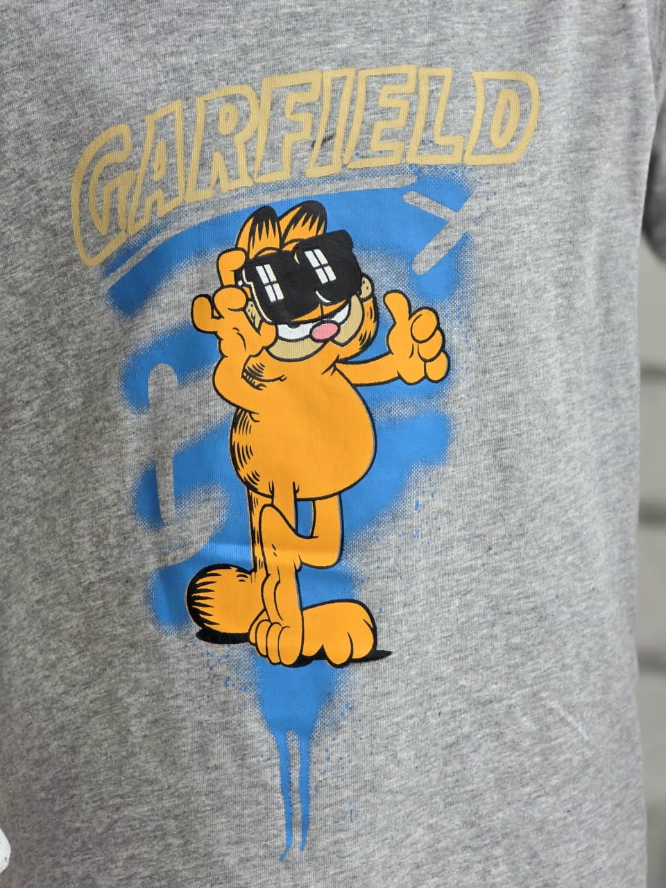 Boys Garfield T-shirt